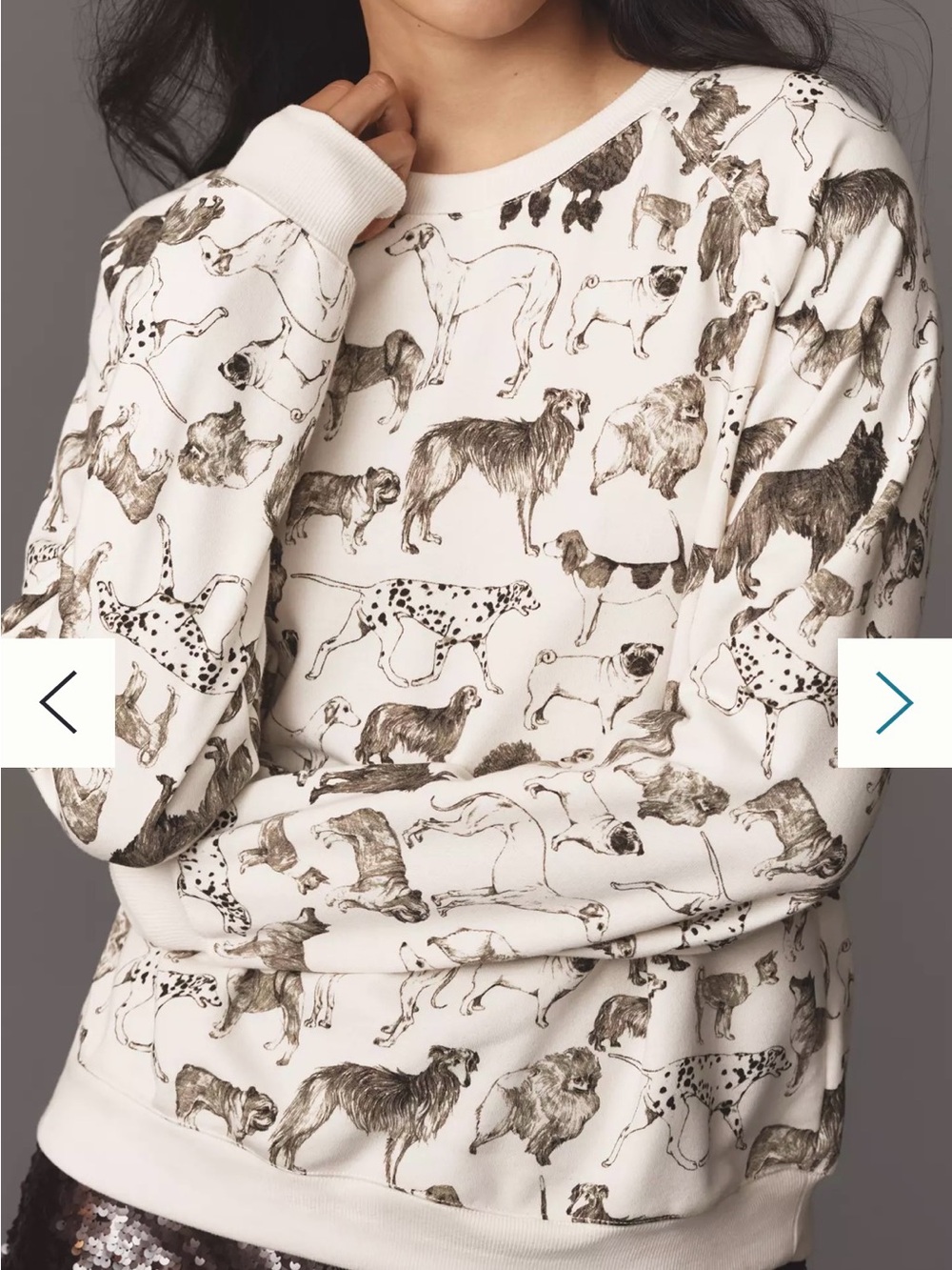 Anthropologie Maeve Dog Print Ivory Sweatshirt NWT Small